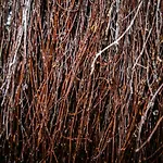 Estalagem Bombonierka