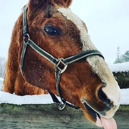 Locanda Bombonierka *